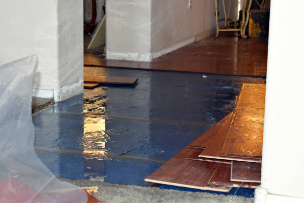 Professional Water Damage Restoration technician working in Dimock, SD